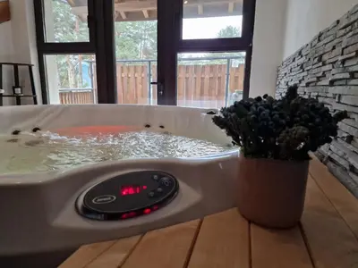 a bath tub filled with water with a potted plant at Rodopi Guest House in Tsigov Chark
