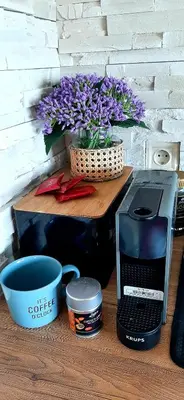 a table with a laptop computer and a basket of flowers at Rodopi Guest House in Tsigov Chark