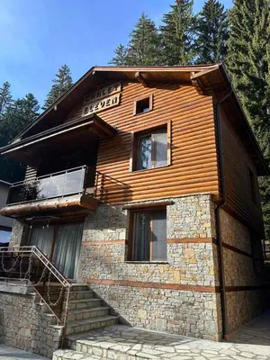 a wooden house with stairs in front of it at CHALET ELEVEN in Dospat