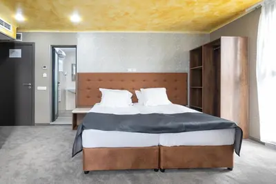 a bedroom with a large bed with a wooden headboard at Hotel Boutique 5 - Free parking - Free breakfast - Free internet - EVSE in Sofia