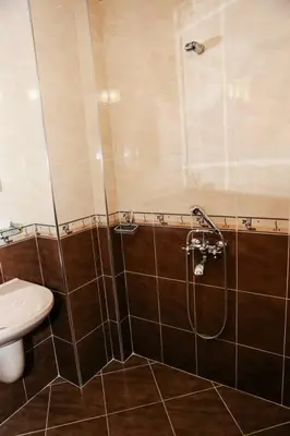 a bathroom with a shower with a toilet and a sink at Delchovski Han in Delchevo