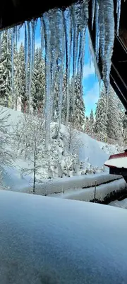 a bunch of icicles hanging over a snow covered yard at The Golden Nest - 3 Bedroom Family Mountain Apartment in Pamporovo