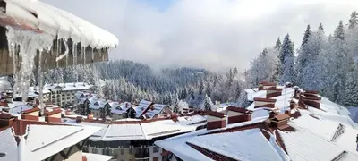 a town covered in snow with snow covered roofs at The Golden Nest - 3 Bedroom Family Mountain Apartment in Pamporovo