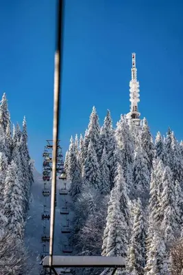 a ski lift with snow covered pine trees at The Golden Nest - 3 Bedroom Family Mountain Apartment in Pamporovo