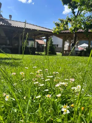 a field of grass with flowers in front of a house at SPA Hotel Daffi in Smolyan