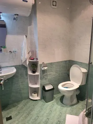 a bathroom with a toilet and a sink at Beautiful Apartment in Bansko