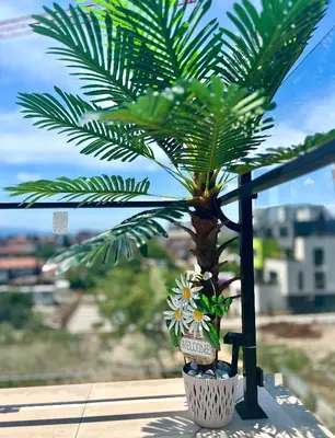 a palm tree in a pot on a balcony at Stracciatella Homes Apartment in Sofia