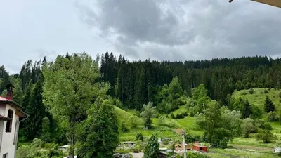 a view of a mountain with trees and a house at Къща за гости Михаела in Chepelare