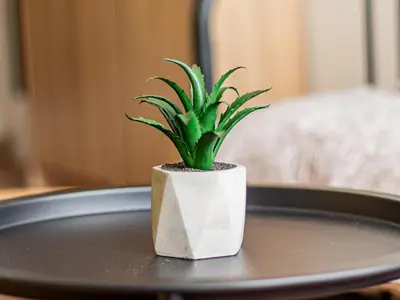 a green plant in a white pot on a table at Nevsky Loft - Central Sofia Studio in Sofia