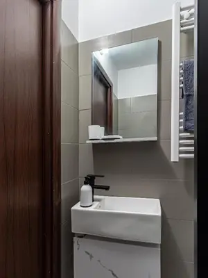 a bathroom with a sink and a mirror at Vitosha Loft - Central Sofia Studio in Sofia