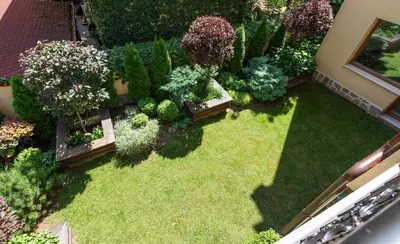 an overhead view of a garden with plants and trees at Didi's Central Designer Apartments in Sofia