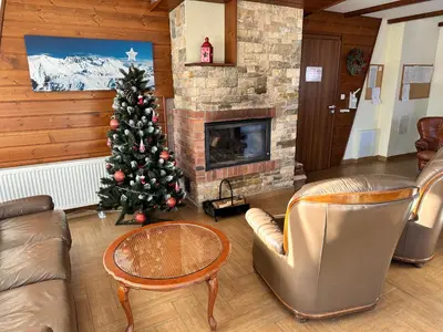 a living room with a christmas tree and a fireplace at Pine Tree - charming apartment in Bansko