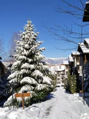 a snow covered christmas tree on a snowy street at Family Luxury Private Apartments in 4 star SPA Resort St Ivan Rilski, Bansko in Bansko