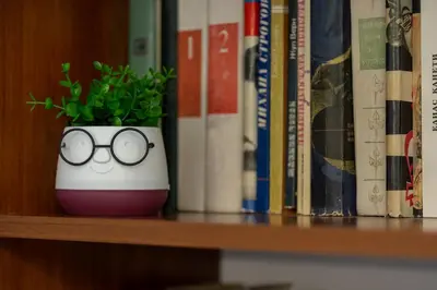 a potted plant with glasses sitting on a book shelf at Vintage Home by NDK and Vitosha Blvd with Free Secured Parking in Sofia