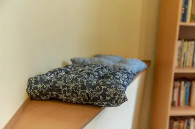 a pillow sitting on a shelf next to a bookcase at Vintage Home by NDK and Vitosha Blvd with Free Secured Parking in Sofia
