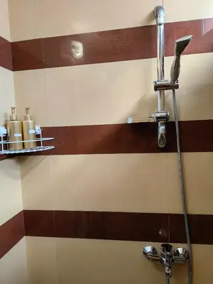 a shower in a bathroom with brown and white stripes at 2 Bedrooms apartment. in Plovdiv