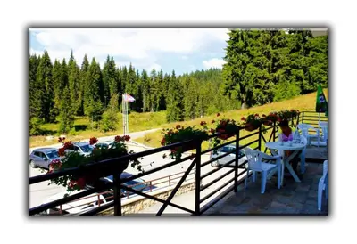 a balcony with a table with flowers on it at Teo and Miki 612 in Pamporovo