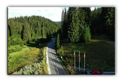 a car is driving down a road with trees at Teo and Miki 612 in Pamporovo