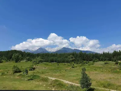 a field with trees and mountains in the background at Saint John Hill Apartment in Bansko