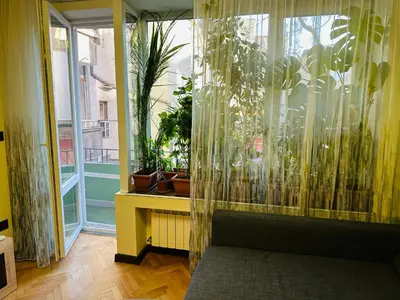 a room with a large window with plants in it at Luxury Oasis in absolute Center of Sofia in Sofia