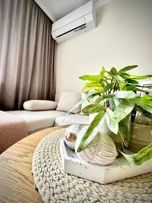 a living room with a table with a plant on it at View in Petrich