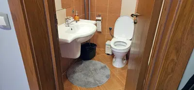 a small bathroom with a toilet and a sink at Green Peaks Suite in Pirin Golf & County Club in Razlog
