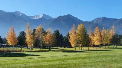a group of trees in a field with mountains in the background at Green Peaks Suite in Pirin Golf & County Club in Razlog