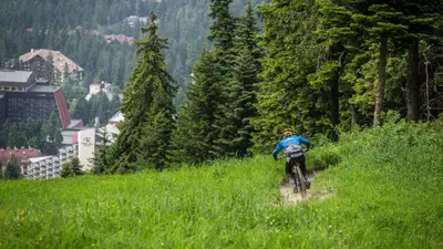 a person riding a bike down a grassy hill at Cozy Mountain Apartment in Borovets