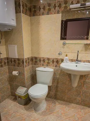 a bathroom with a toilet and a sink at Апартаменти Мечето in Sandanski