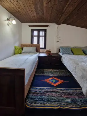 two beds in a room with a rug on the floor at Vila Anna in Ribarica