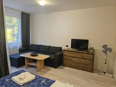 a living room with a couch and a flat screen tv at Borovets gardens Studio A12 in Borovets