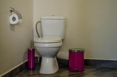 a bathroom with a toilet and a trash can at Dariya Guest House in Sapareva Banya