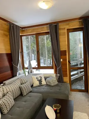 a living room with a couch and some windows at Elizi1winter apartments Pamporovo in Pamporovo