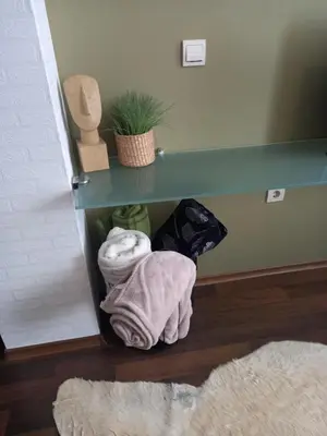 a room with a shelf with towels and a plant at Top Top location Green apartment in Bansko