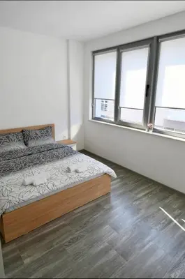 a bedroom with a bed and two windows at Flower home 10 in Sofia