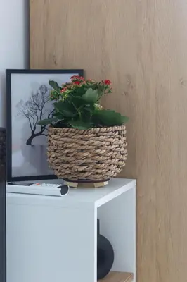a plant in a basket on top of a table at Apartment KALINA with free private parking in Plovdiv
