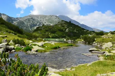 a river in a field with mountains in the background at 