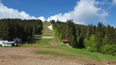 a grassy hill with a dirt road and trees at The Castle Complex - Apartment 401 in Pamporovo
