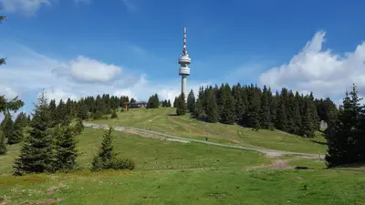 a grassy hill with a tower on top of it at The Castle Complex - Apartment 401 in Pamporovo