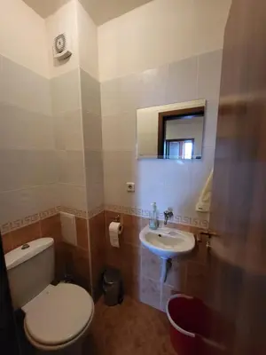 a bathroom with a toilet and a sink at Gri's place in Bansko