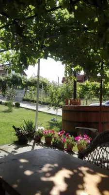 a group of flowers in pots on a patio at Вила Маца in Sapareva Banya