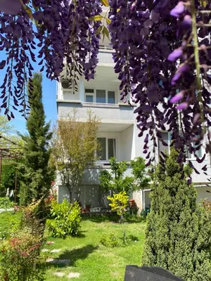 a white house with purple trees in the yard at Family Hotel 