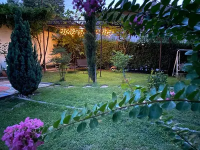 a garden at night with purple flowers and trees at Family Hotel 