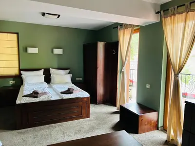 a bedroom with green walls and a bed with shoes on it at Villa Ema in Panichishte