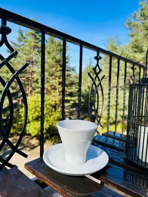 a white bowl sitting on a table on a balcony at Villa Ema in Panichishte