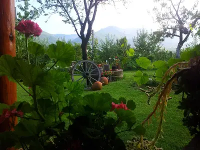 a garden with a wagon wheel and pumpkins at СПА къща за гости Каза Роза - Swiss Style Chalet Casa Rosa SPA Guest House in Kyustendil