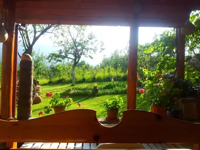 a view of a garden from a window with potted plants at СПА къща за гости Каза Роза - Swiss Style Chalet Casa Rosa SPA Guest House in Kyustendil