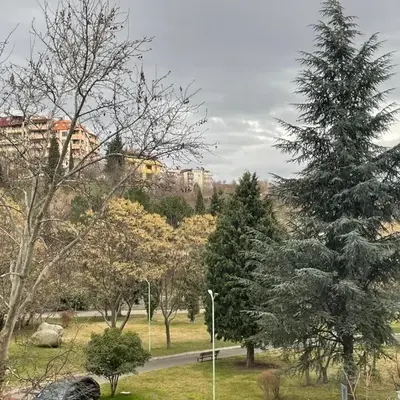 Sunny Park Retreat