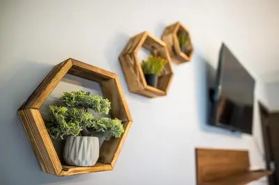 a group of plants in wooden frames on a wall at Apartment Tiana Lux 2 in Hisarya