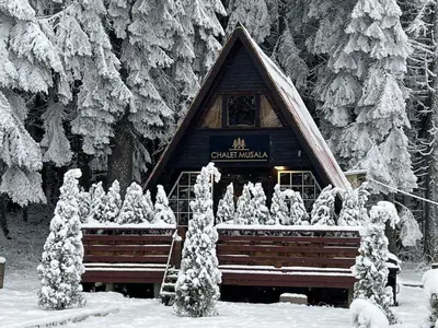 a cabin in the snow with christmas trees in front at Chalet Musala Borovets by BookVillaBG in Borovets